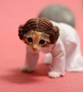 Princess Leia