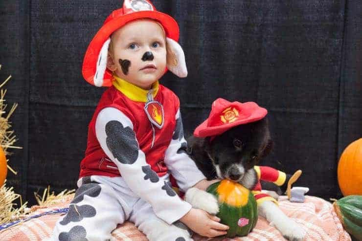 halloween paw patrol costume