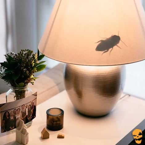 cockroach in lampshade halloween prank