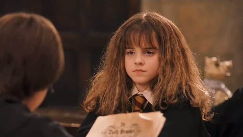 Hermione Harry Potter