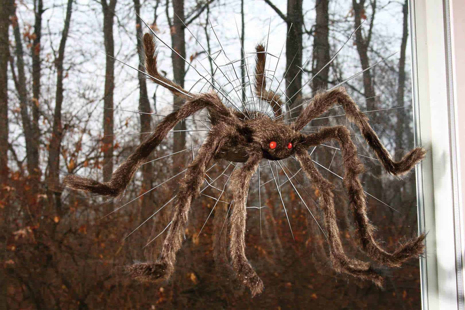 halloween-spider
