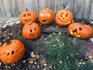 pumpkin-carvings