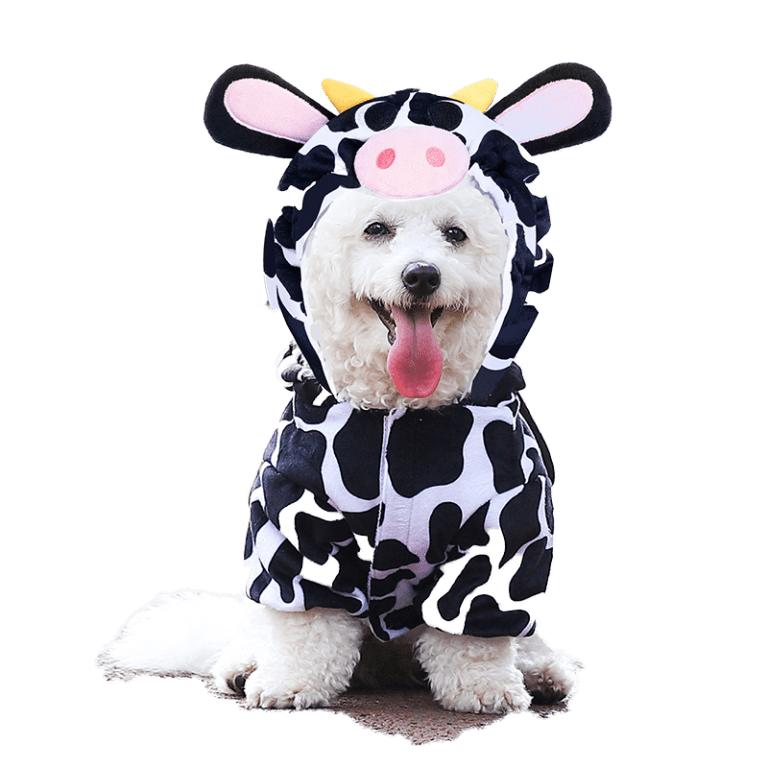 Halloween Stores In Calgary Massive Selection On Costumes And Décor